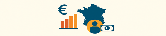 French Personal and Household Income Data at Granular Level