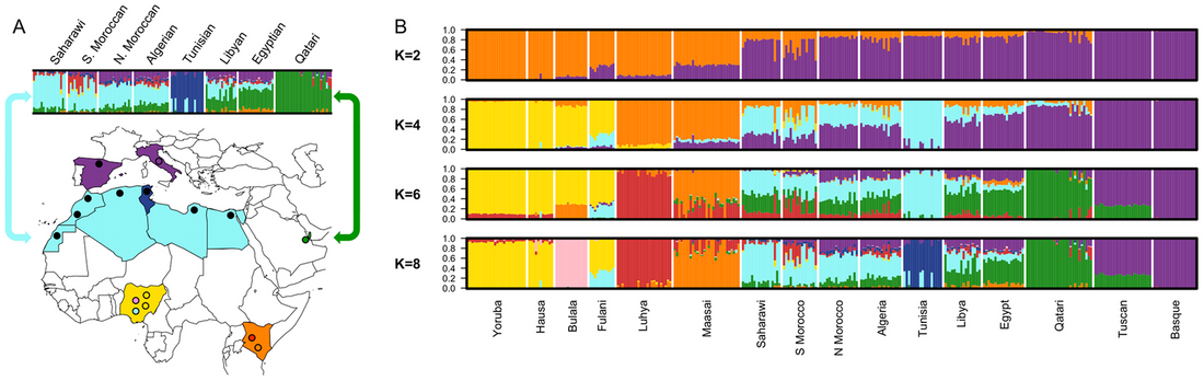 Clustering used in LI 