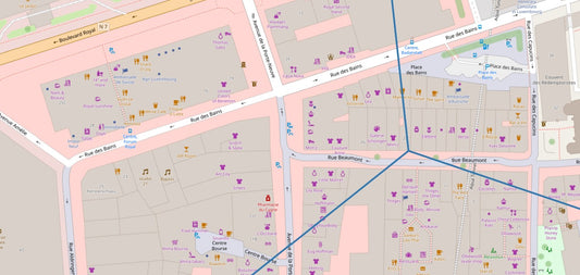 Unveiling Your Neighborhood: How Points of Interest Data Paints a Demographic Portrait