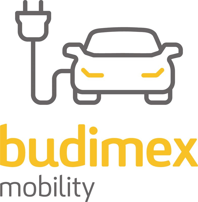Logo of Budimex