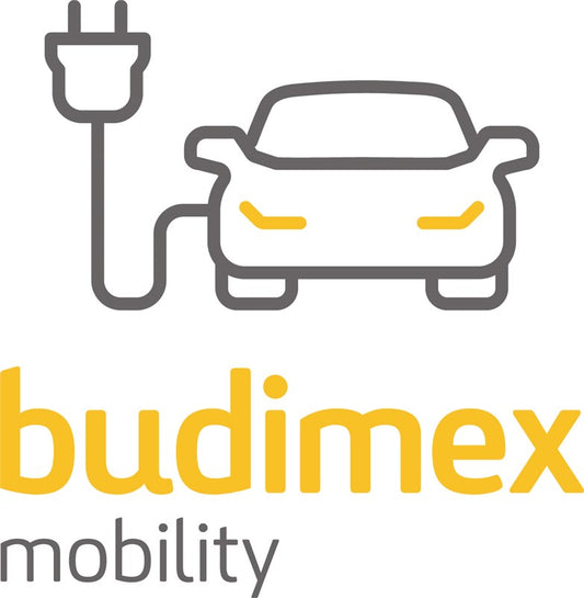 Logo of Budimex