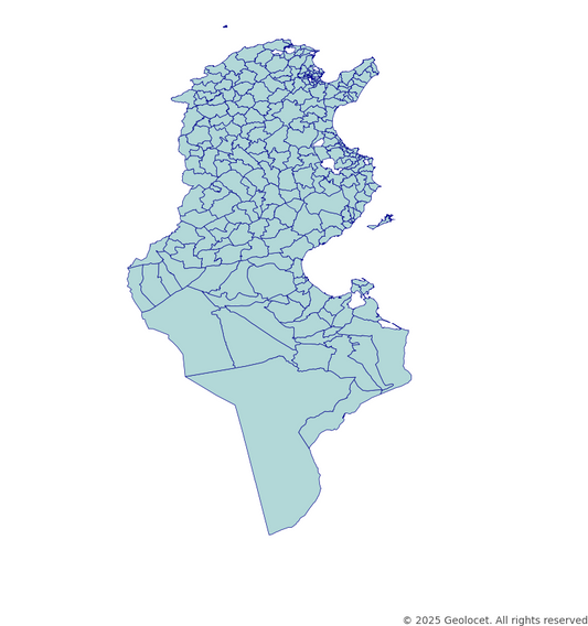 Tunisia District-Level Boundary